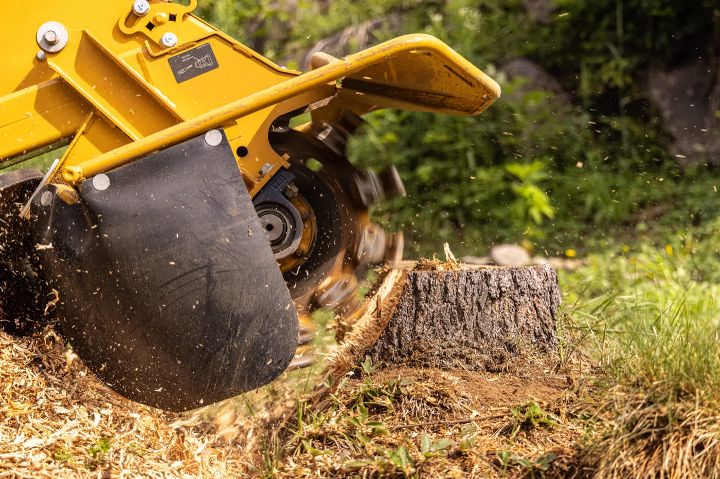 Stump grinding
