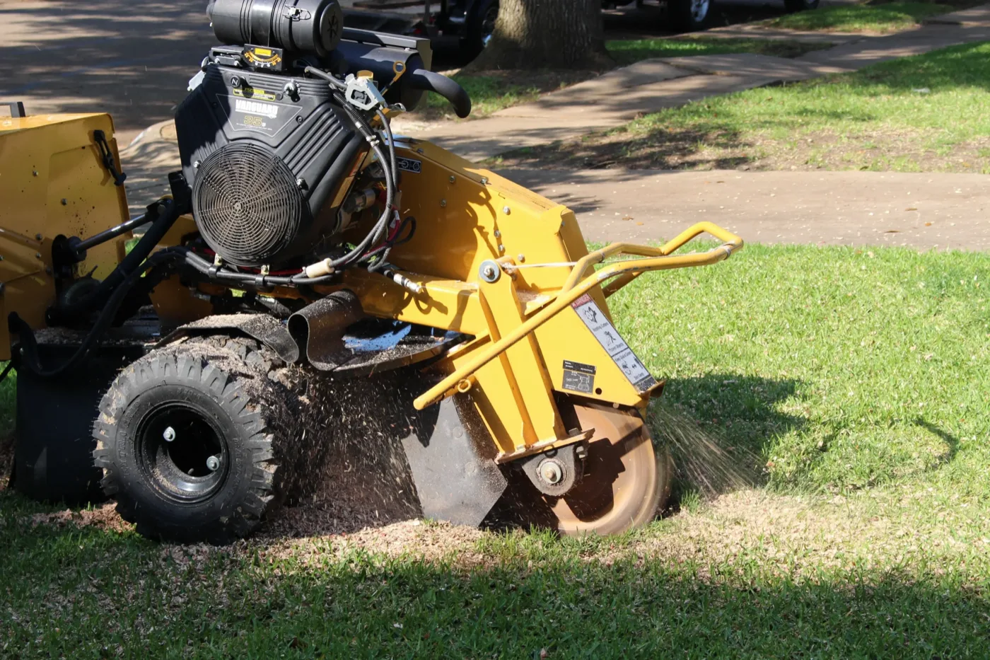 Stump ground below grade